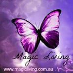 10410368_723982234325291_931325438888709572_n