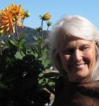 imported_member_thumbnail_52282-140x150