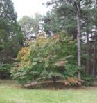 10659171_318052675039486_2040775354591529846_n-140x150