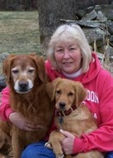 f0e2dcea051f46528c7d5c60c137b6ca